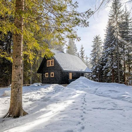 Cosy Lodge Pokljuka Goreljek Εξωτερικό φωτογραφία