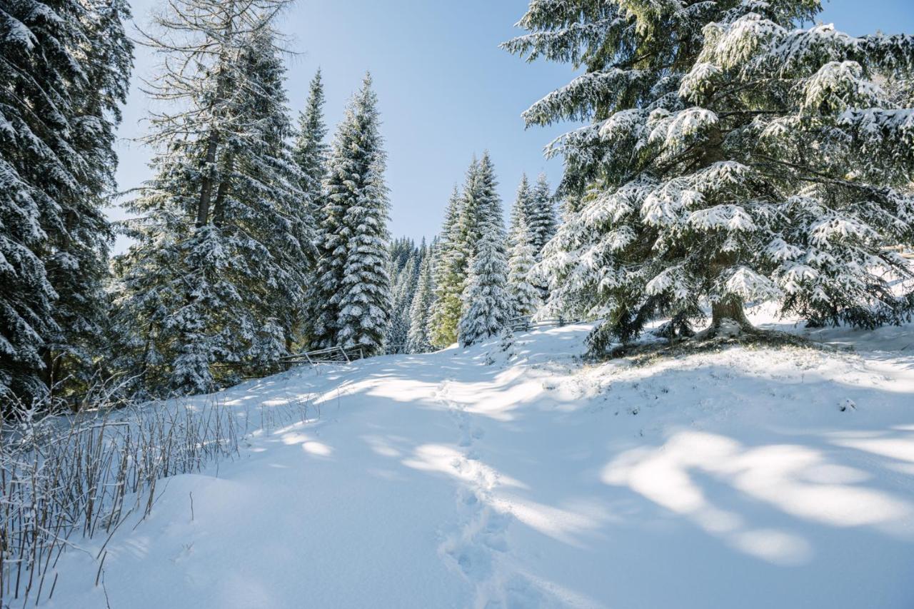 Cosy Lodge Pokljuka Goreljek Εξωτερικό φωτογραφία