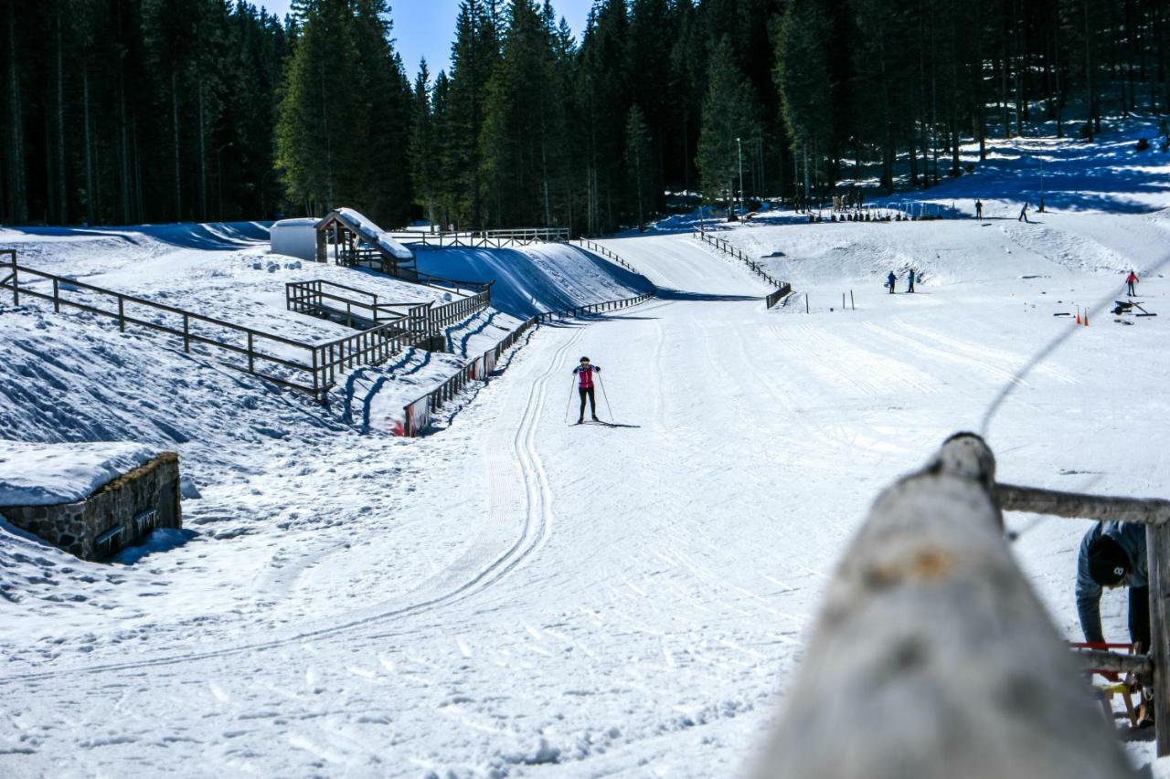 Cosy Lodge Pokljuka Goreljek Εξωτερικό φωτογραφία