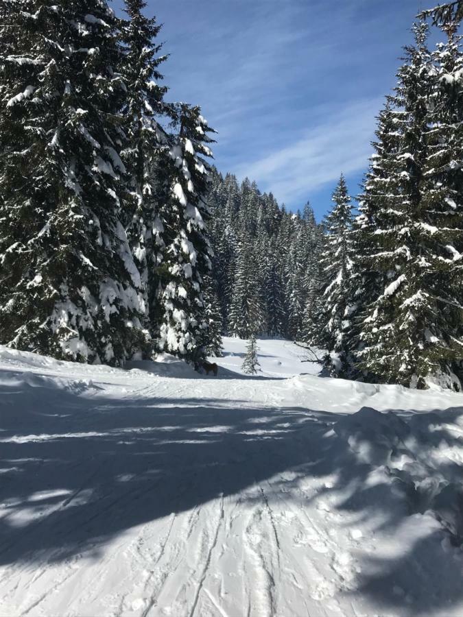 Cosy Lodge Pokljuka Goreljek Εξωτερικό φωτογραφία